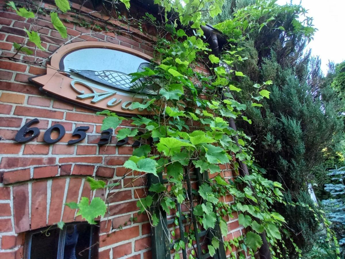 Avalon Polchowo คาเมียน โปมอร์สกี ภายนอก รูปภาพ